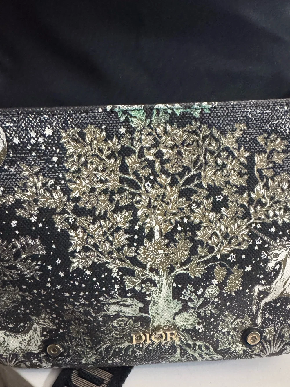 Dior Black leather Messenger Bag with Gold Magical Print and Logo Strap